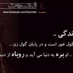 جملات و گلواژه های تصویری زیبا