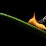 تصاویری زیبا و دیدنی از هنرنمایی با چوب کبریت های سوخته هنرنمایی با چوب کبریت سوخته