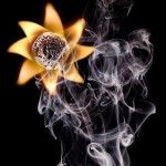 تصاویری زیبا و دیدنی از هنرنمایی با چوب کبریت های سوخته هنرنمایی با چوب کبریت سوخته