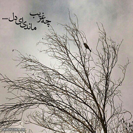 دیالوگ های ماندگار, نقل قول های بزرگان, جملات آموزنده, متون تاثیرگذار