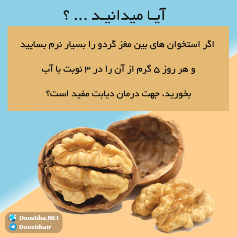 دانستنی های گیاهان دارویی, خواص داروهای گیاهی, آیا میدانید, طب سنتی, درمان گیاهی, فواید میوه ها, خواص درمانی حبوبات, گیاه درمانی, میوه درمانی, درمان های طبیعی