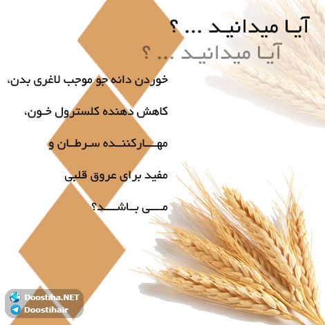 دانستنی های گیاهان دارویی, خواص داروهای گیاهی, آیا میدانید, طب سنتی, درمان گیاهی, فواید میوه ها, خواص درمانی حبوبات, گیاه درمانی, میوه درمانی, درمان های طبیعی