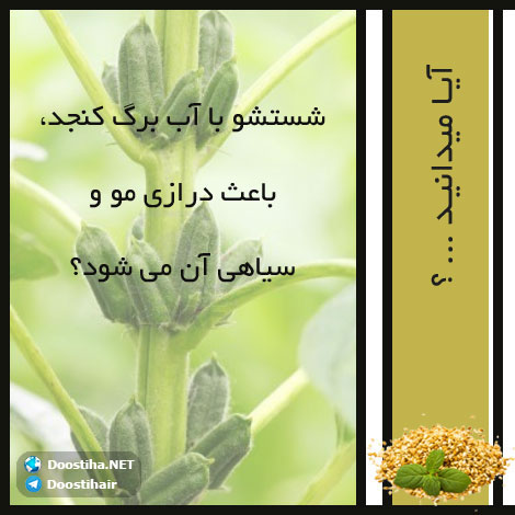 دانستنی های گیاهان دارویی, خواص داروهای گیاهی, آیا میدانید, طب سنتی, درمان گیاهی, فواید میوه ها, خواص درمانی حبوبات, گیاه درمانی, میوه درمانی, درمان های طبیعی