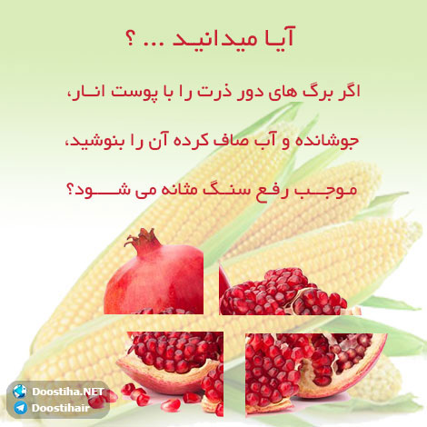 دانستنی های گیاهان دارویی, خواص داروهای گیاهی, آیا میدانید, طب سنتی, درمان گیاهی, فواید میوه ها, خواص درمانی حبوبات, گیاه درمانی, میوه درمانی, درمان های طبیعی