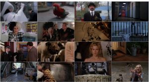 دانلود فیلم 102 سگ خالدار 102 Dalmatians 2000
