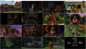 دانلود کارتون ماداگاسکار Madagascar 2005 با دوبله فارسی