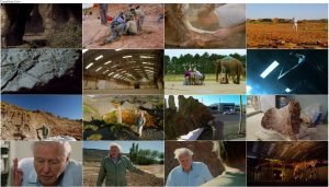 مستند دیوید اتنبرو و دایناسور غول پیکر Attenborough and the Giant Dinosaur 2016 