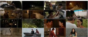 دانلود فیلم دریاچه کایوت با دوبله فارسی Coyote Lake 2019 دانلود فیلم دریاچه کایوت با دوبله فارسی Coyote Lake 2019