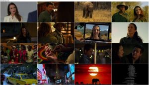 دانلود فیلم تعطیلات در طبیعت Holiday in the Wild 2019