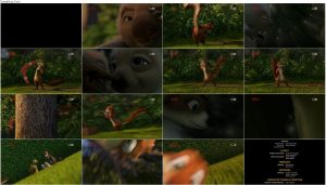دانلود انیمیشن Hammy's Boomerang Adventure 2006 دانلود انیمیشن ماجرای بومرنگ هامی Hammy's Boomerang Adventure 2006